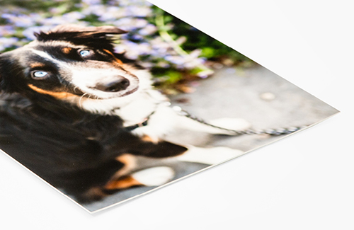 Mounted Prints Photo Mounting Artsy Couture
